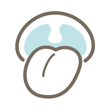 お口の中の炎症や痛み